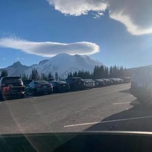 Meet your Posher, Bruno